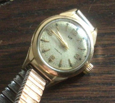 RARE LIP Himalaya nid