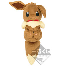 Peluche Evoli US Duty Free