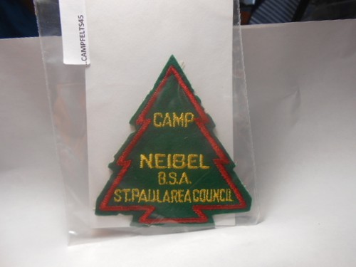Boy scouts felt camp - boy,