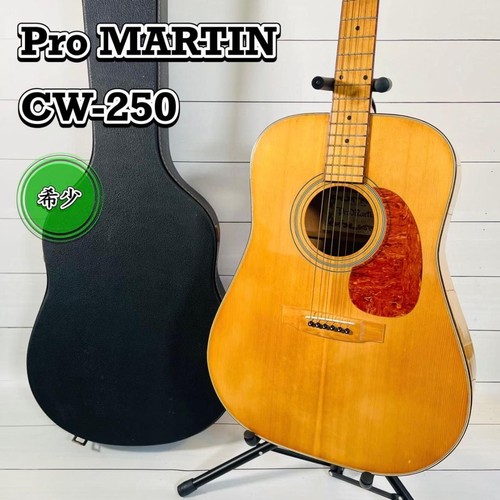 Rare pro martin 250 - pro,