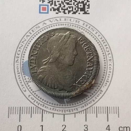 Louis xiv demi - louis,