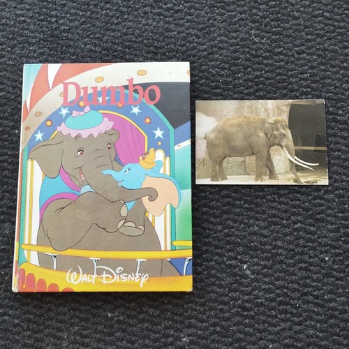 Dumbo walt disney france - ,