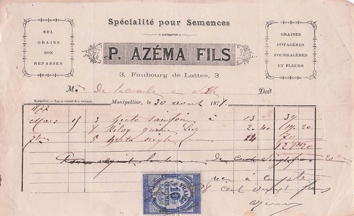 Montpellier grainetier - 34,