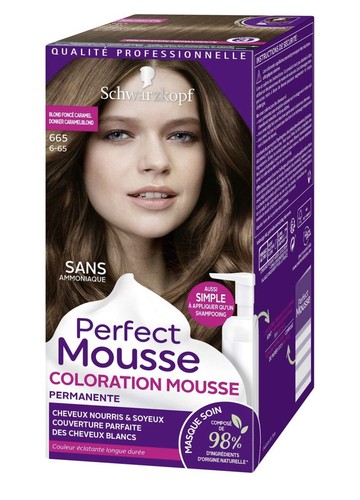 Coloration perfect mousse - , 665
