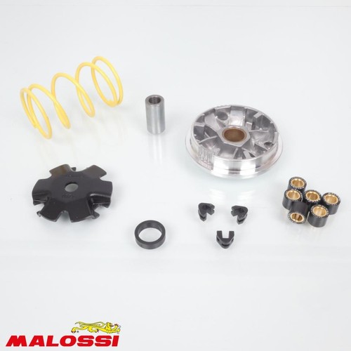Variateur malossi pour scooter - pour,