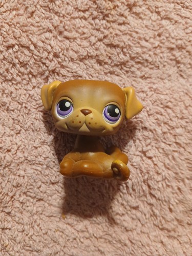 Littlest petshop chien - petshop, "chien