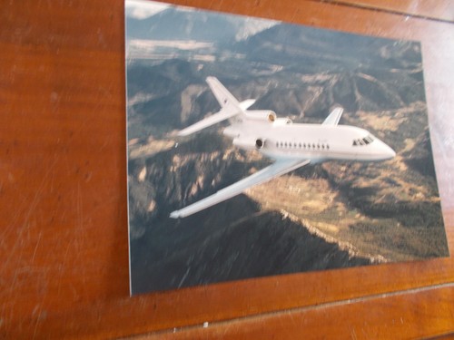 Falcon