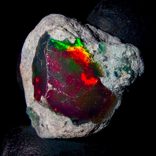 Feu opal noir ethiopian - feu, opal,