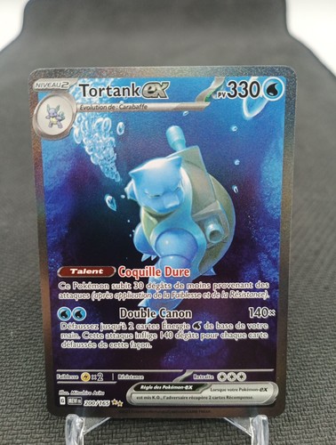 Tortank 200 165 - tortank, carte