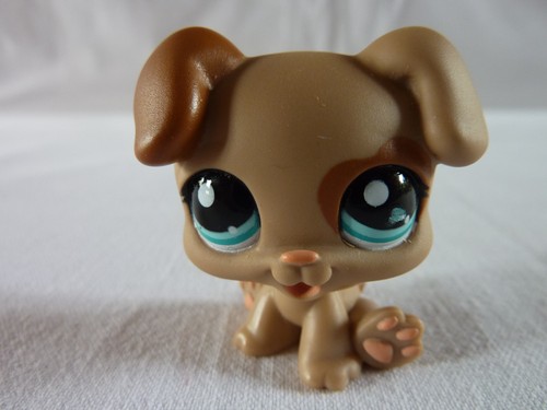 Petshop lps littlest - petshop,