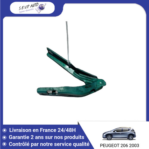 capot 206 vert