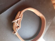 Collier + laisse de chiens