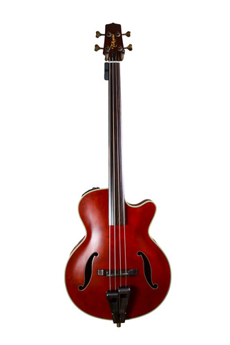 Takamine tb10 fretless - tb10,