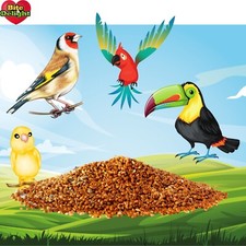 Millet pour Oiseaux Rouge pour