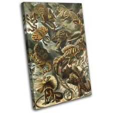 Floral Lizard Reptile Vintage