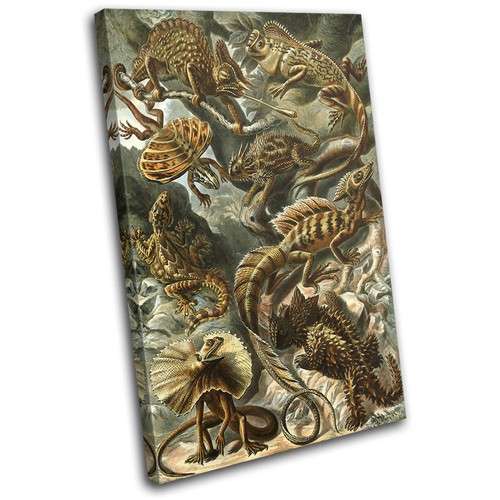 Floral lizard reptile vintage - reptile,