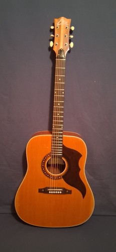 Vintage 1960 eko - eko, ranger