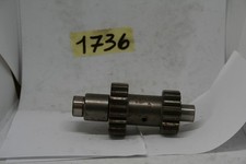 Roue Dentée Moteur