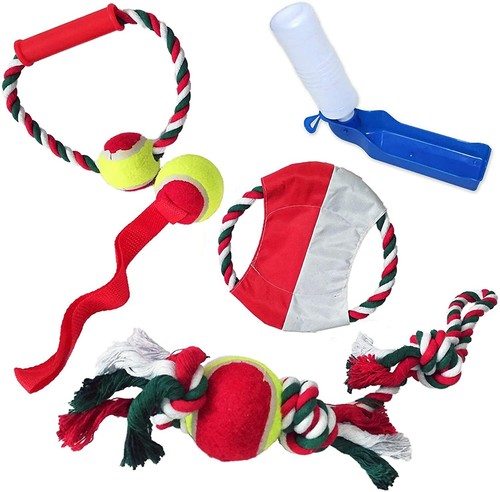 Lot jouets chien avec - lot,