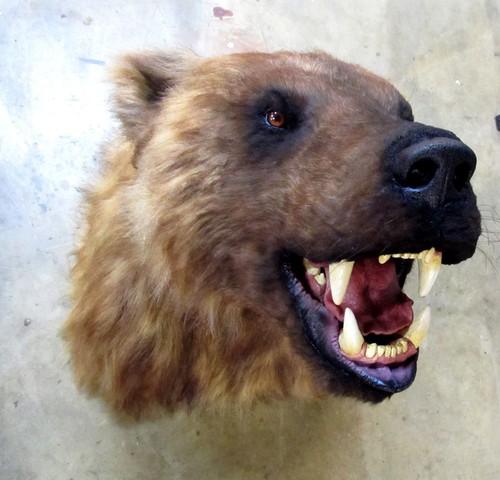 Taxidermie statue réplique - taxidermie,