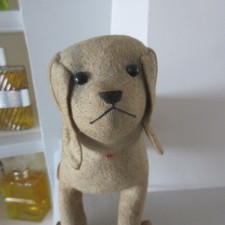 dog on wheels early 1900, eyes