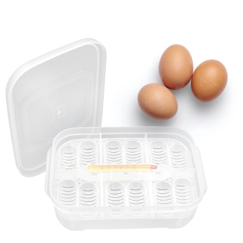 Reptile oeuf incubation - reptile,