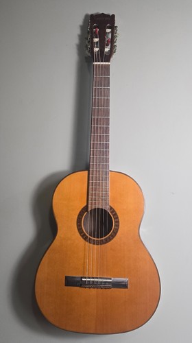 Giannini awn acoustic - giannini,