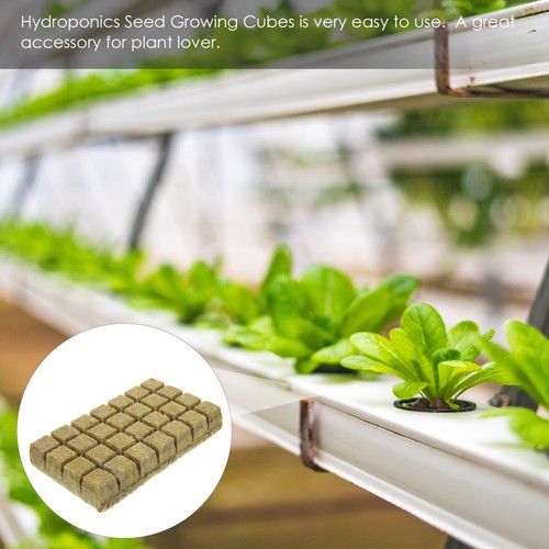 Cubes pour hydroponie - cubes,