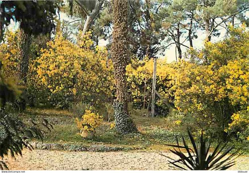 Carte postale ile - -, 17
