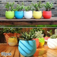 10 X Mini Pot Rond Succulent