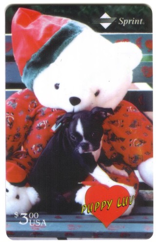 Chiot luv séries boston - luv,