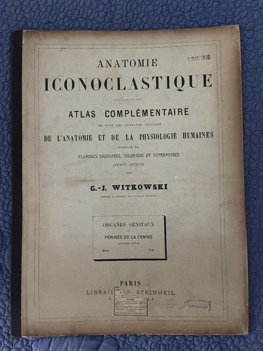 Witkowski anatomie - witkowski,,