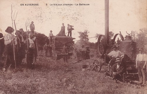 Cpa auvergne vie aux champs - vie,