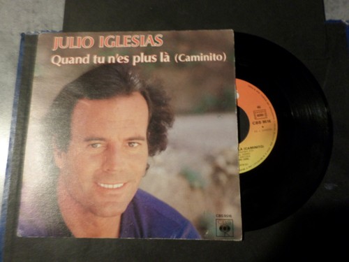 Julio iglesias disque vinyle - iglesias,