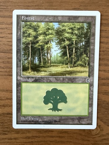 Mtg forest portal - forest,