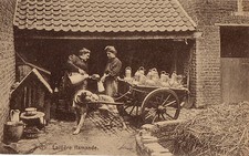 CPA -BELGIQUE-   Attelage de chiens - Laitière flamande.