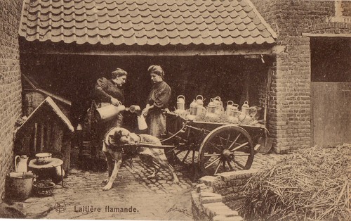 Cpa belgique attelage - -belgique-,