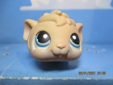 PETSHOP COCHON D'INDE N°157 /