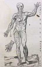 Rare 1585 Figure Anatomique