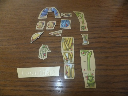 Magnets corps humain le - le,