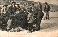 CORSE CORSICA - LE RAPIDE DE