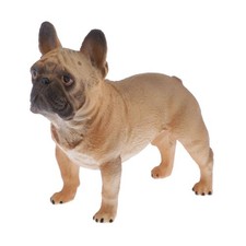 Animaux Réalistes Modèles