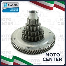 Arbre Primaire Complet