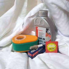 Maintenance Compatible pour Briggs & Stratton Série 800, 850 Et 875