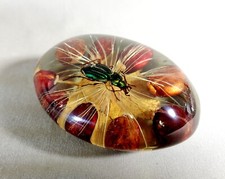 Pierre Giraudon Bioplastique