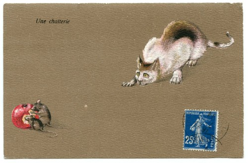 Chat les souris - chat, et