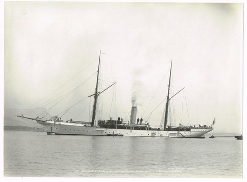 Hirondelle prince albert - "hirondelle,