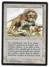 ►Magic-Style◄ MTG - Savannah Lions - French Revised FBB - EX+