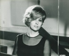 GINA LOLLOBRIGIDA LE BAMBOLE