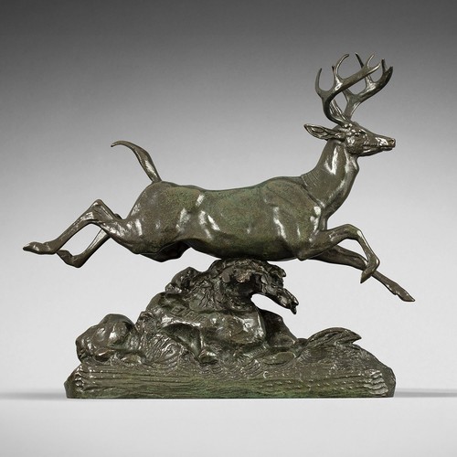 Cerf virginie - de,